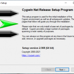 WSL gui applications, using X11 server