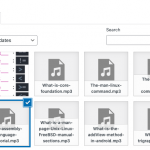 Wordpress audio player plugin